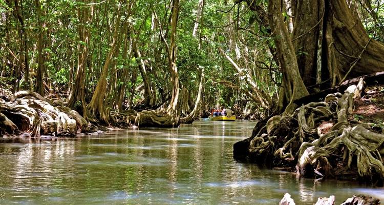 Personas navegando en balsa por un estrecho canal de río bordeado de densos árboles de manglar.