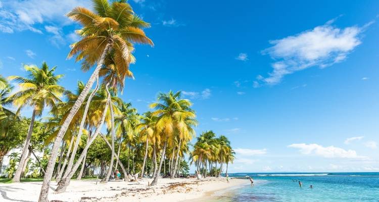Una playa bordeada de palmeras y personas disfrutando de la orilla del mar bajo un cielo despejado.