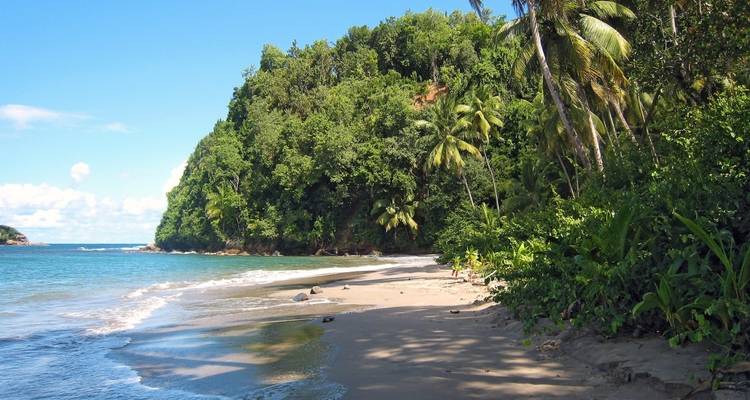 Una playa apartada con denso bosque que conduce a costas de arena blanca.