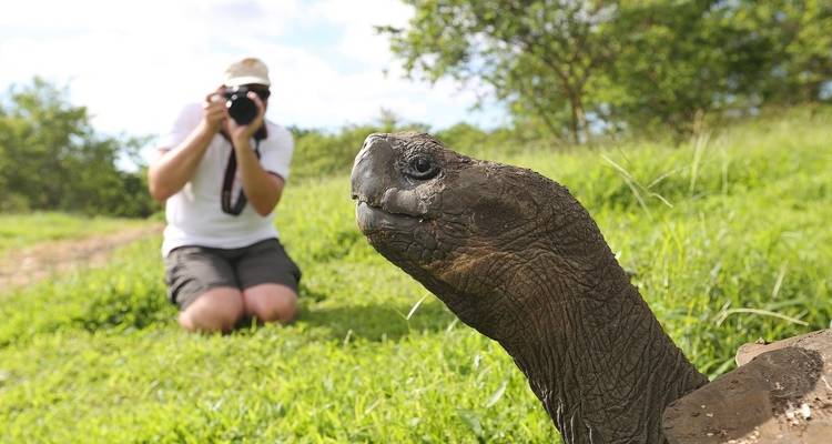 Una persona arrodillada tomando una foto de una tortuga gigante.