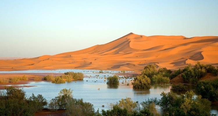 Wüstenlandschaft mit Sanddünen und Wasserstellen.
