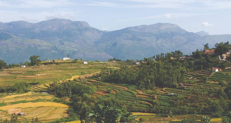 Terrassenfelder und entfernte Berge unter klarem Himmel.
