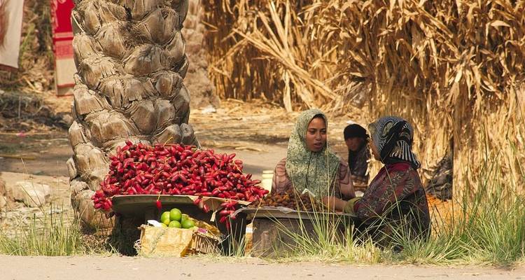 Deux femmes assises à un marché avec des légumes et un palmier.