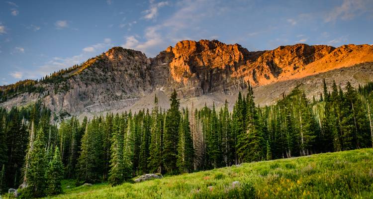 Un paysage vibrant avec des montagnes et une zone forestière.
