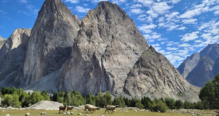 Sheep grazing beneath dramatic jagged rock spires against a bright blue sky