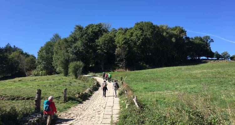 Des personnes qui font de la randonnée le long d'un sentier pavé dans un cadre rural avec des arbres et des champs.
