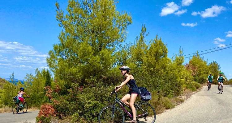 Des cyclistes roulant sur une route de campagne entourée d'arbres.