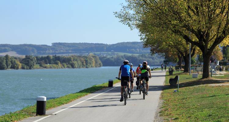 Groupe de cyclistes sur un sentier au bord de la rivière avec des arbres et des collines au loin.