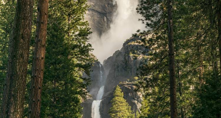 Powerful waterfall plunging between granite cliffs framed by tall pine trees.