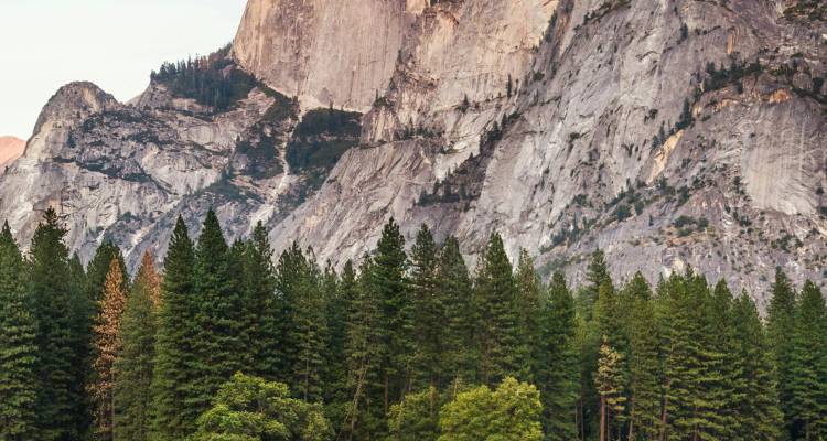 Falaise de granit s'élevant au-dessus d'une forêt dense de conifères dans un parc national.