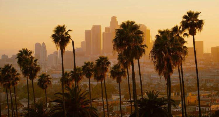 Los Angeles skyline bathed in warm sunset light with silhouetted palm trees in the foreground.