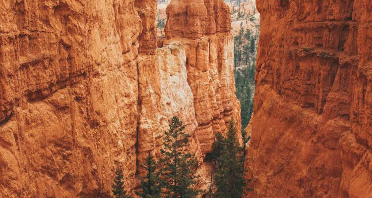 Towering orange hoodoos and narrow canyon walls of Bryce Canyon with pines below.