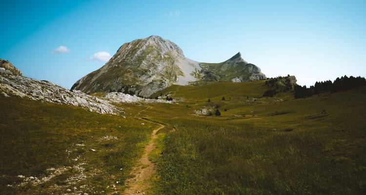 Valle cubierto de hierba que conduce a un pico montañoso dramático bajo un cielo despejado.