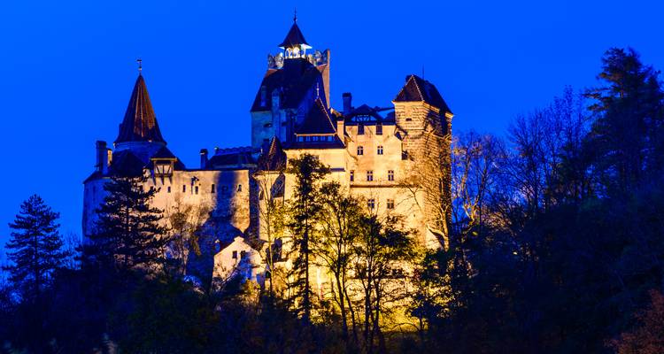 Night-time view of Bran Castle dramatically lit against a deep blue sky and framed by trees.