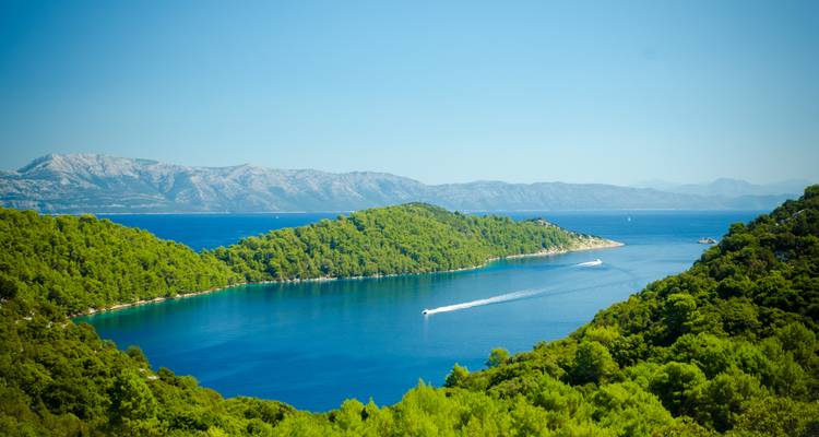 Bright blue channel cutting between lush islands in the Adriatic near Mljet.