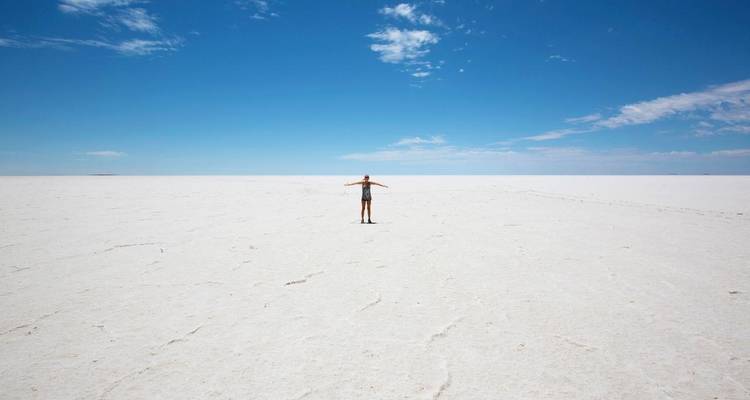 Personne debout au milieu d'un vaste désert de sel.