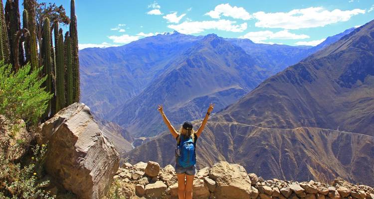 Hiker throws arms up in triumph on a rocky ledge overlooking the deep Colca Canyon and Andean mountains.