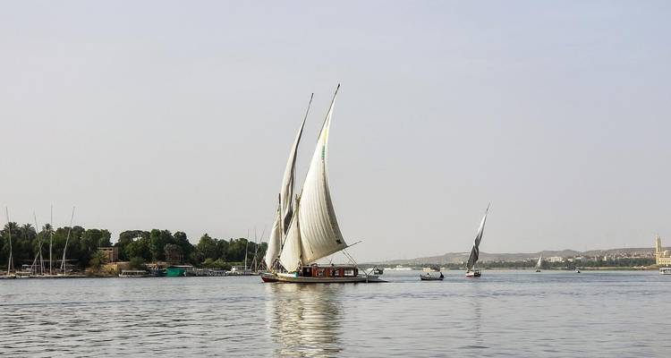 Velero con velas en un río con la orilla de fondo.