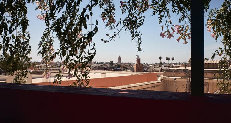 Distant view of a mosque through flowering branches.