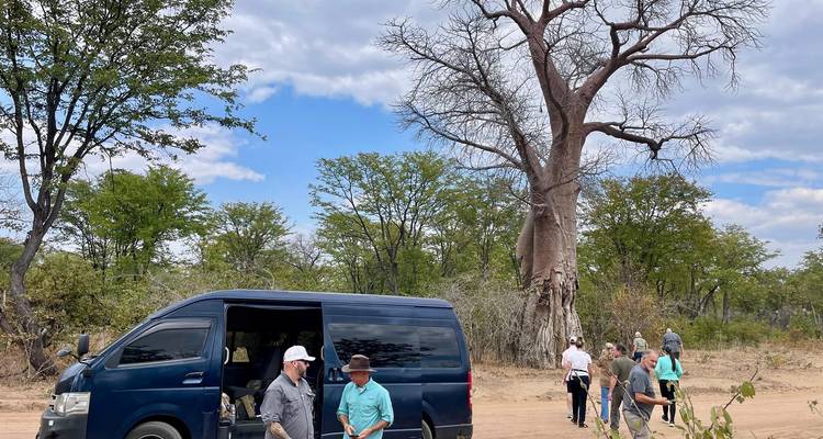 Group of people gathering near a van under a large tree.