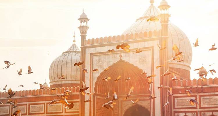 Kuppel einer Moschee mit Vögeln, die bei Sonnenaufgang fliegen.