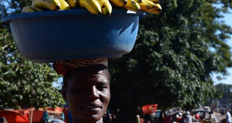 Persona cargando una canasta de plátanos en la cabeza en un mercado.