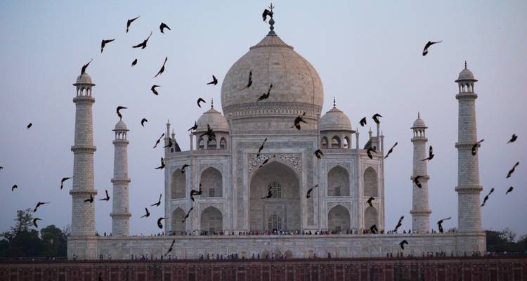 Silhouette of Taj Mahal with birds flying around