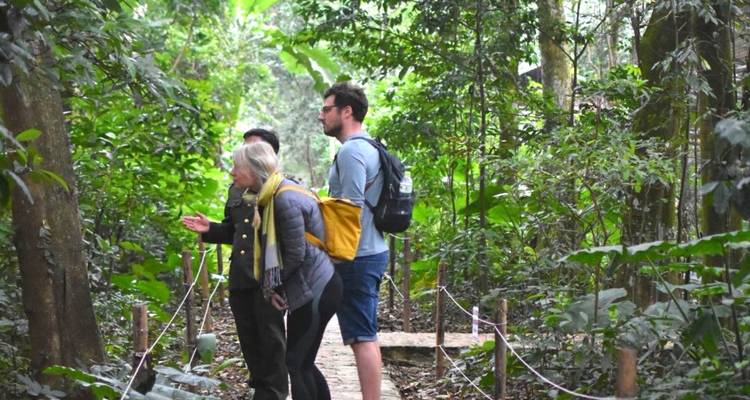 Touristen erkunden eine üppige Waldlandschaft mit Wanderwegen.