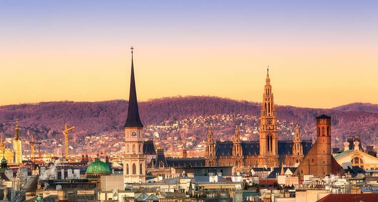 Skyline of a city with historic buildings.