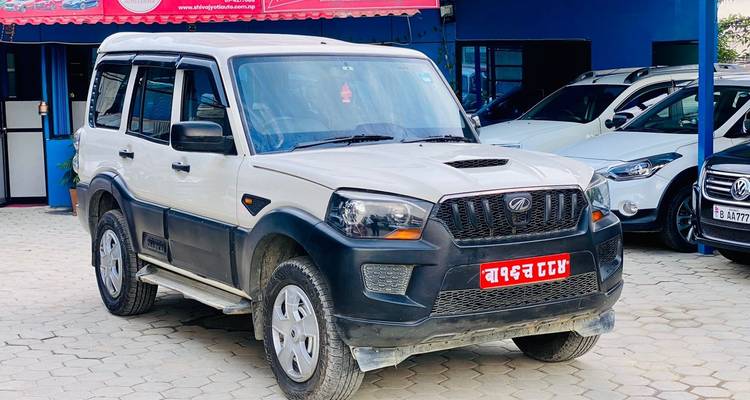 Ein geparkter SUV mit dekorativem Kennzeichen.