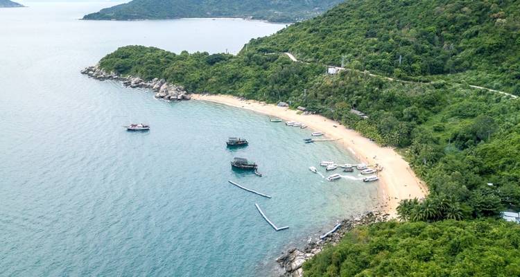 Luchtfoto van een strand met boten en weelderig groen.