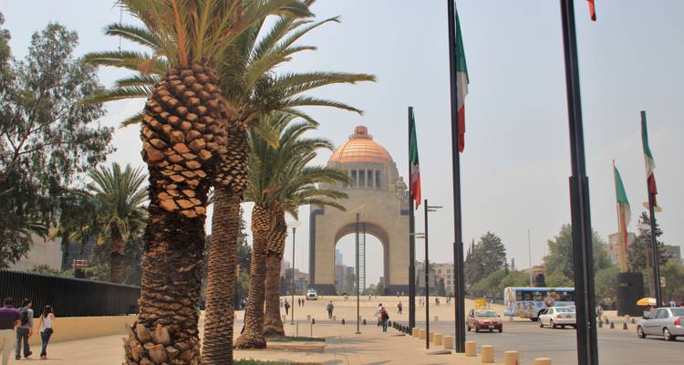 Brede straat met hoge palmbomen en een grote, verre boog.