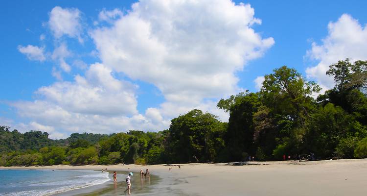 Makelloses Strand mit weißem Sand, das vom Regenwald in Manuel Antonio Nationalpark gestützt wird, mit Besuchern, die in sanften Wellen waten.