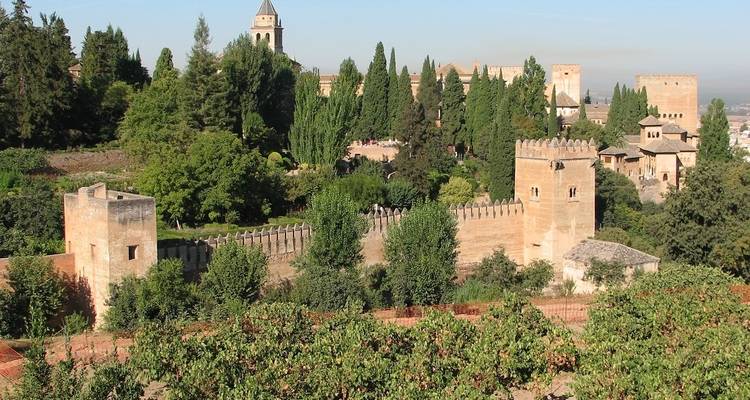 Scenic view of the Alhambra surrounded by lush greenery.