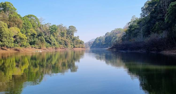 Ein ruhiger Fluss, der zwischen üppigen Wäldern und fernen Hügeln fließt.
