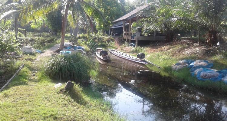 Kleine boten afgemeerd bij een bosgebied met een waterweg.