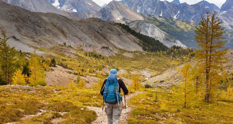 Excursionista caminando por una zona montañosa con árboles y terreno rocoso.