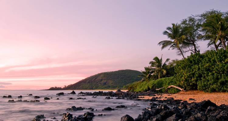 Playa rocosa durante el amanecer con palmeras bordeando la orilla.