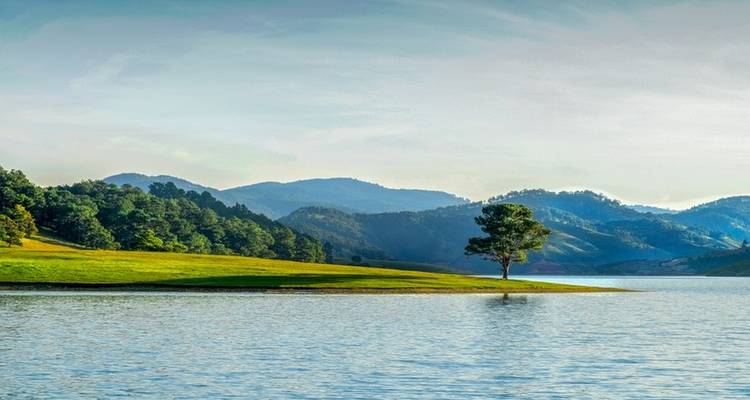 Lone tree standing on a lakeshore with mountains in the background