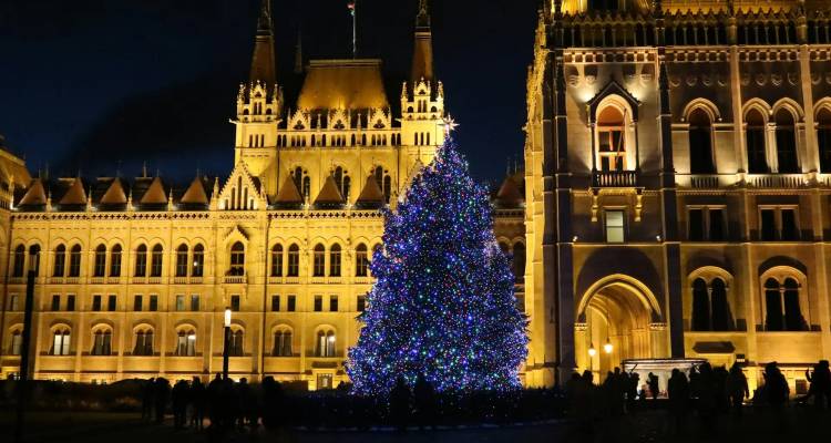 Bâtiment du Parlement hongrois illuminé la nuit avec un grand sapin de Noël décoré devant.