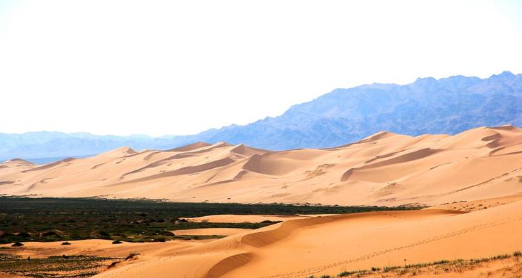 Uitgestrekte woestijnduinen met bergketens op de achtergrond.