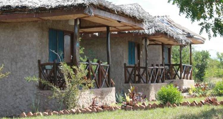 Lodge mit rustikalem Charme mit Reetdächern und umgebender Vegetation.