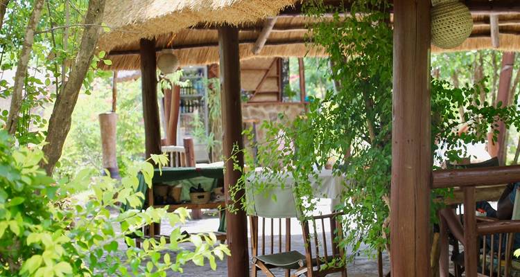 Sitzbereich im Freien unter einem Strohdach, umgeben von Vegetation.