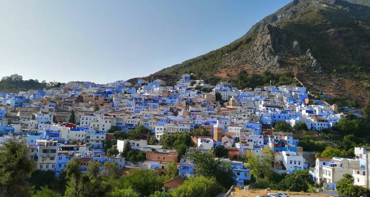 Edificios pintados de blanco y azul en una ladera.