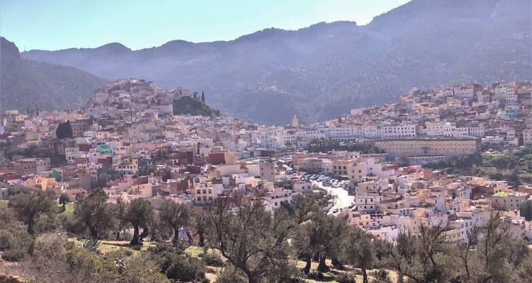 Vista panorámica de una ciudad en el valle rodeada de colinas.
