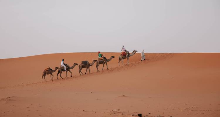 Kamelkarawane, die auf den Sanddünen einer Wüste wandelt.