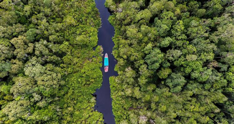 Aerial view of a narrow river winding through a dense forest.