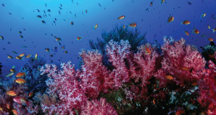 Thailand Beaches West Coast (Nov - Apr) - Intrepid Travel
