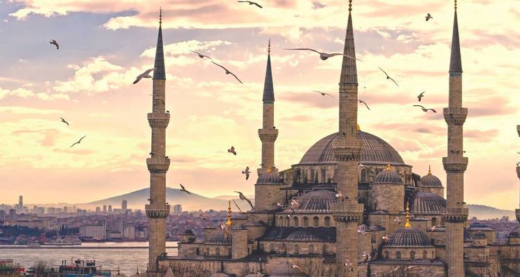 The Blue Mosque with birds flying around at sunset.