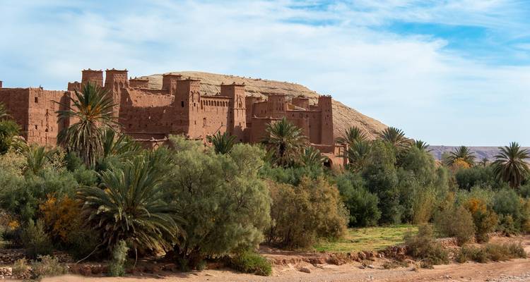Zandsteenstructuren en palmbomen in een woestijnomgeving.